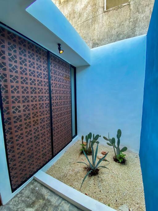 Modern Casa With Pool 7 Mins From Centro 5Min La Plancha Park Villa Merida Exterior photo